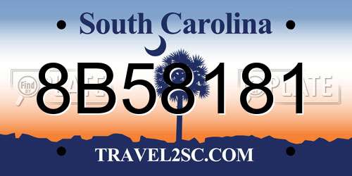 8B58181 South Carolina License Plate