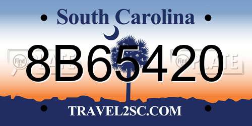 8B65420 South Carolina License Plate