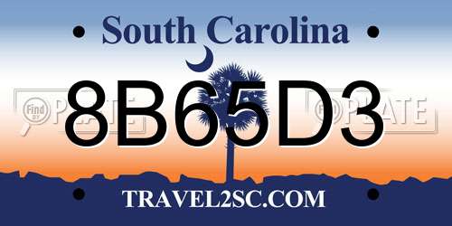 8B65D3 South Carolina License Plate
