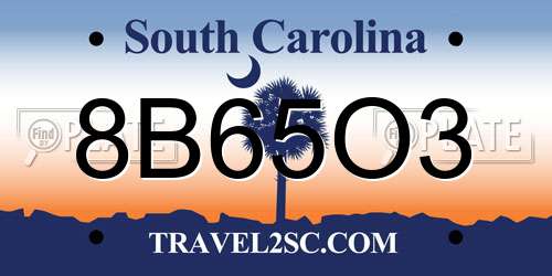 8B65O3 South Carolina License Plate