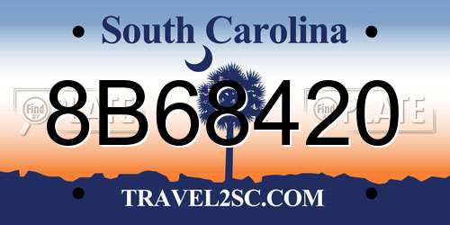 8B68420 South Carolina License Plate