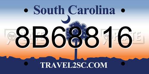 8B68816 South Carolina License Plate