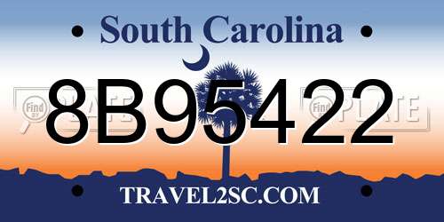 8B95422 South Carolina License Plate