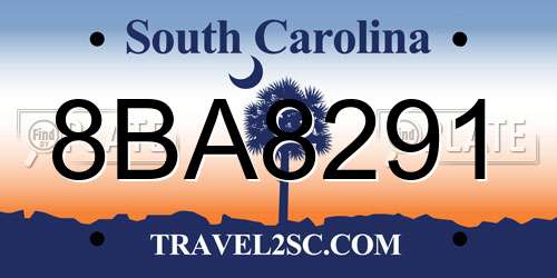8BA8291 South Carolina License Plate
