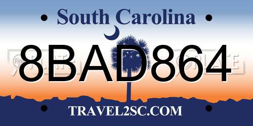 8BAD864 South Carolina License Plate