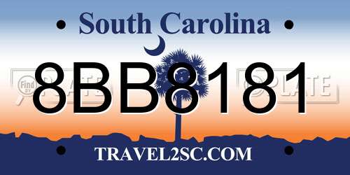 8BB8181 South Carolina License Plate