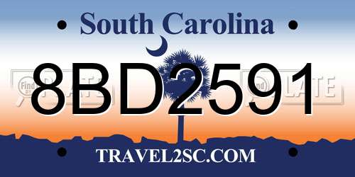 8BD2591 South Carolina License Plate