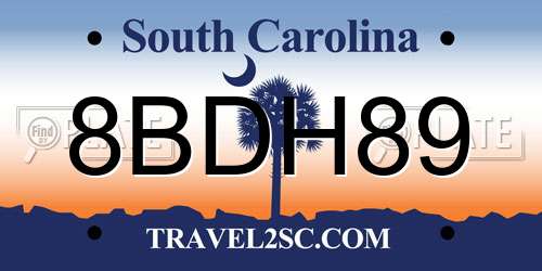 8BDH89 South Carolina License Plate