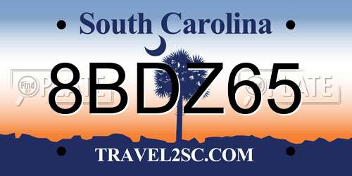 8BDZ65 South Carolina License Plate