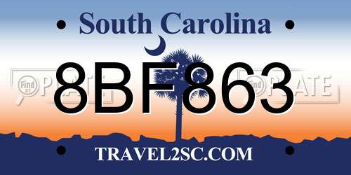 8BF863 South Carolina License Plate