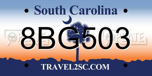 8BG503 South Carolina License Plate