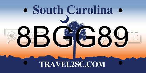8BGG89 South Carolina License Plate