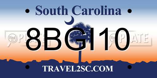 8BGI10 South Carolina License Plate