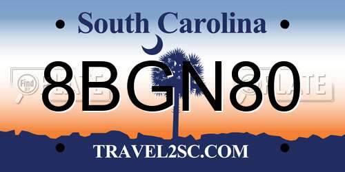 8BGN80 South Carolina License Plate