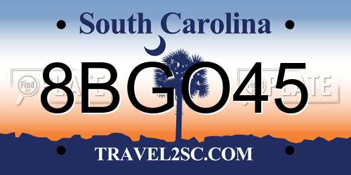 8BGO45 South Carolina License Plate
