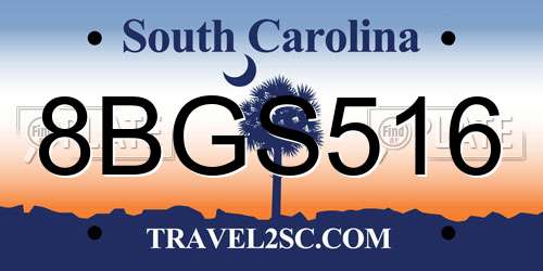 8BGS516 South Carolina License Plate