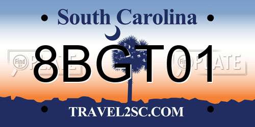 8BGT01 South Carolina License Plate