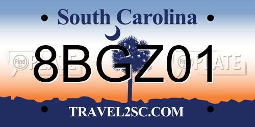 8BGZ01 South Carolina License Plate