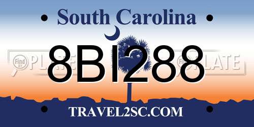 8BI288 South Carolina License Plate