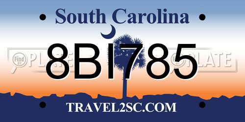 8BI785 South Carolina License Plate