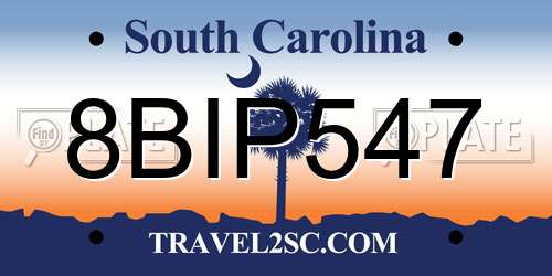 8BIP547 South Carolina License Plate