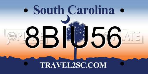 8BIU56 South Carolina License Plate