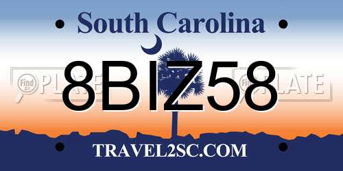 8BIZ58 South Carolina License Plate