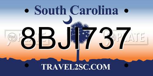 8BJI737 South Carolina License Plate