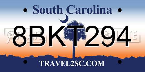 8BKT294 South Carolina License Plate