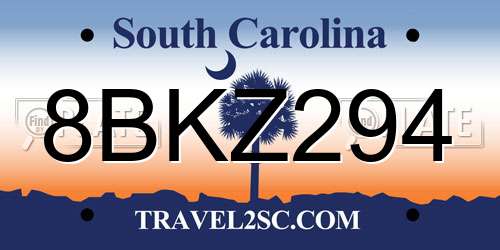 8BKZ294 South Carolina License Plate
