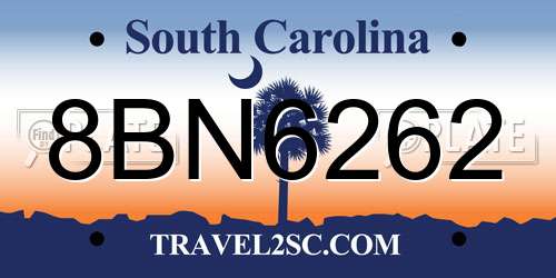 8BN6262 South Carolina License Plate