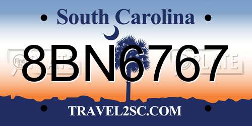 8BN6767 South Carolina License Plate