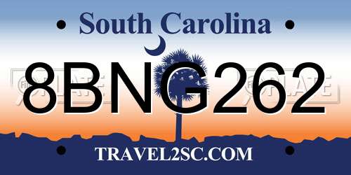 8BNG262 South Carolina License Plate