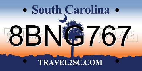 8BNG767 South Carolina License Plate
