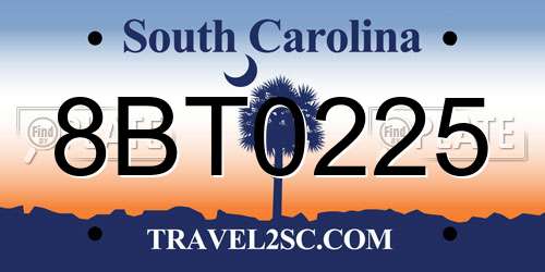 8BT0225 South Carolina License Plate