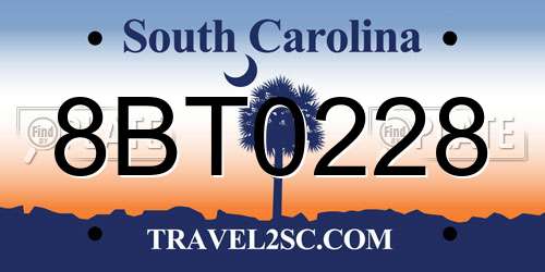 8BT0228 South Carolina License Plate