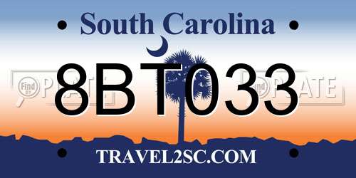 8BT033 South Carolina License Plate