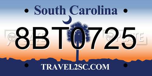 8BT0725 South Carolina License Plate