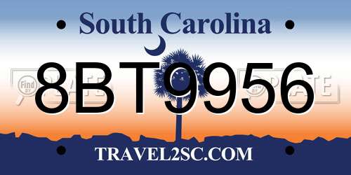 8BT9956 South Carolina License Plate
