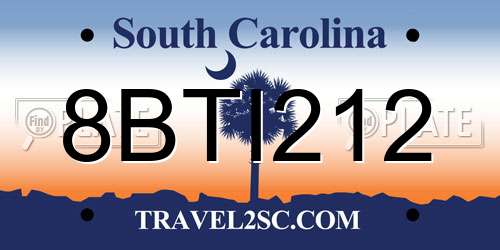 8BTI212 South Carolina License Plate