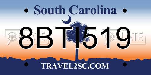 8BTI519 South Carolina License Plate