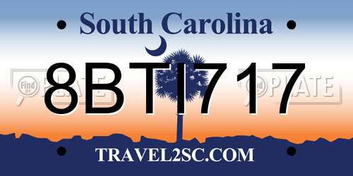 8BTI717 South Carolina License Plate