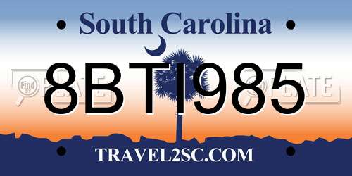 8BTI985 South Carolina License Plate