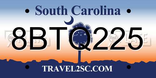 8BTQ225 South Carolina License Plate