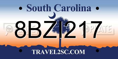 8BZI217 South Carolina License Plate