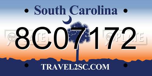 8C07172 South Carolina License Plate