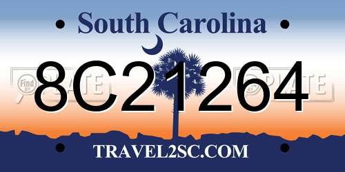 8C21264 South Carolina License Plate