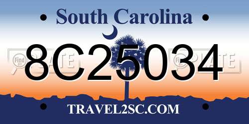 8C25034 South Carolina License Plate