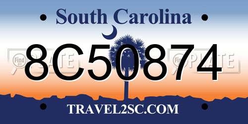 8C50874 South Carolina License Plate