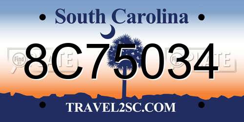 8C75034 South Carolina License Plate
